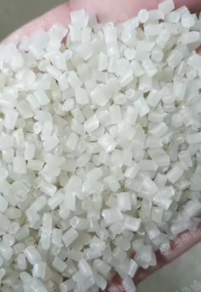 出售PP透明丙颗粒,奶白颗粒