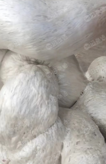 出售EPS热熔块,泡沫坨