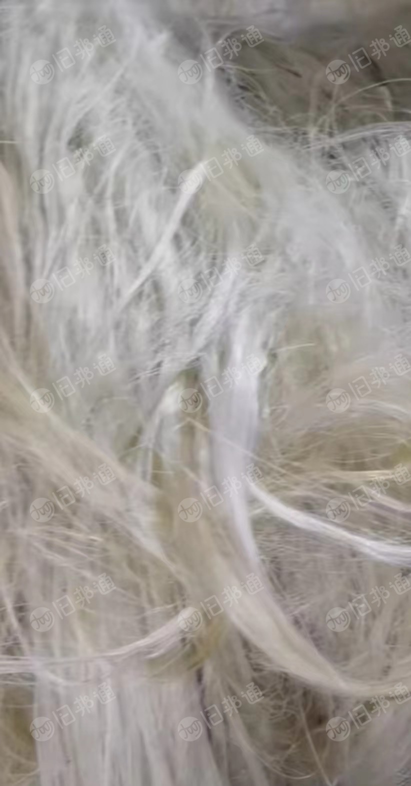 长期大量出售剑麻纤维,二级纤维,打绳用