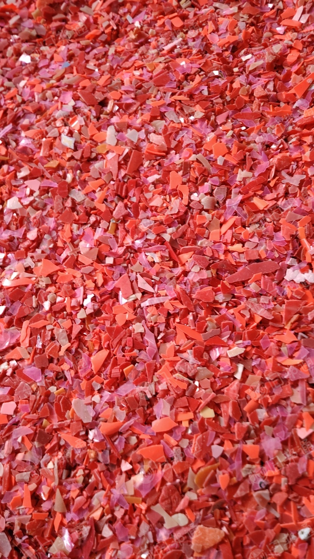 长期出售全漂青蓝红丙破碎料,透明丙破碎料,已清洗甩干过风选,现货20多吨