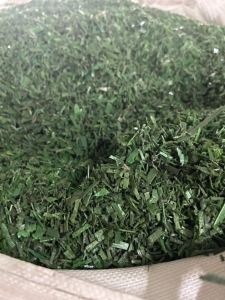 公司大量收购冷洗3A白片 干粉白片 冷洗绿片 干粉绿片 打包带粉碎料 毛砖等