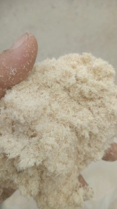 出售造纸杨木粉，自然水份