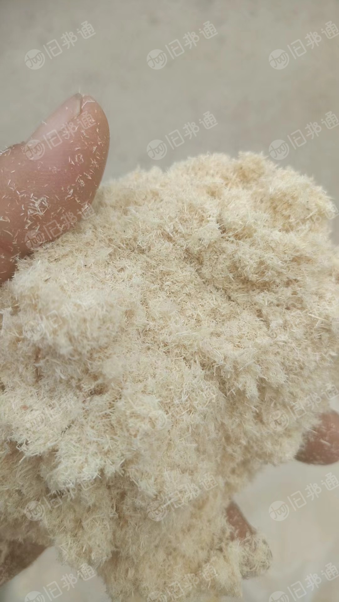 出售造纸杨木粉,自然水份