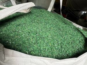 出售PET打包带破碎料，月供100多吨