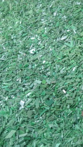 出售绿色PP、PET打包带破碎料