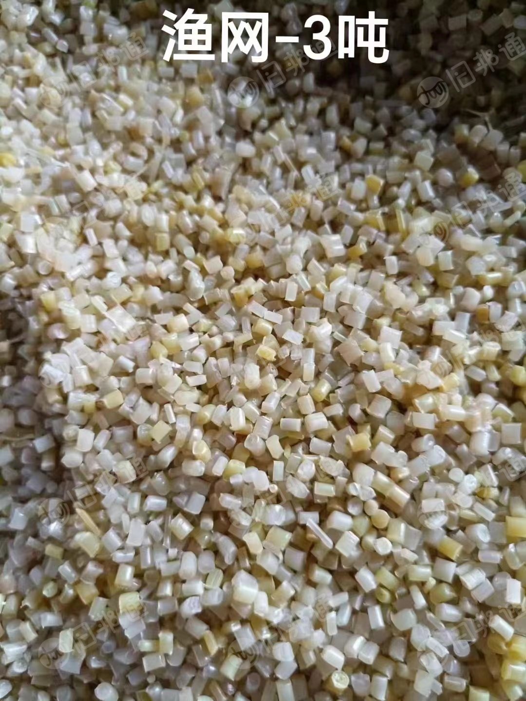 长期出售PA6渔网颗粒,月产300吨
