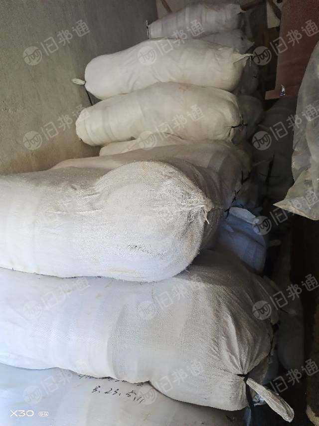 出售绿化树木,土球捆绑用松紧带,松紧带,涤纶,三到六公分,黑白,乳胶丝,现货六吨