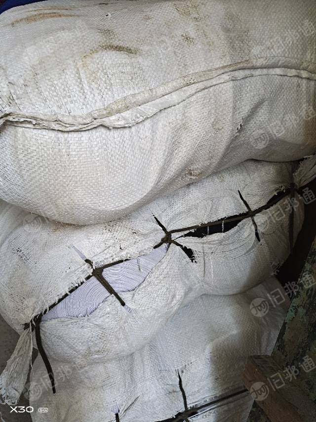 出售绿化树木,土球捆绑用松紧带,松紧带,涤纶,三到六公分,黑白,乳胶丝,现货六吨