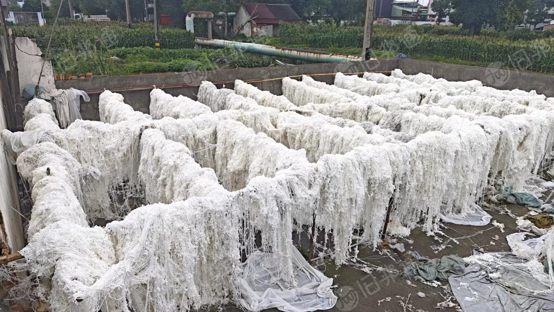 出售氨锦废丝，干丝，水丝，货在江苏盛泽