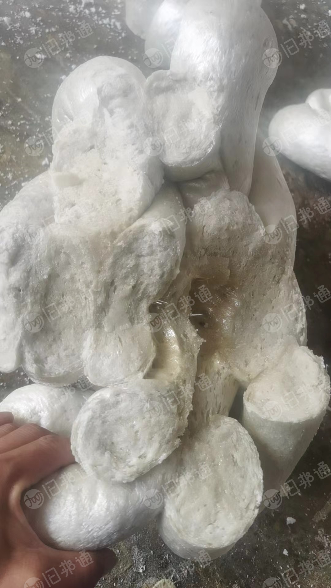 常年大量回收,冷压块,热熔块,低温料,蓝块,排渣料