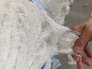 长期出售大白开花棉，二白开花棉