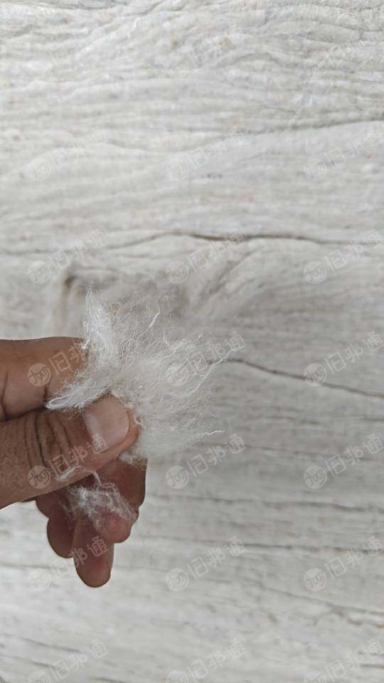 长期出售大白开花棉,二白开花棉