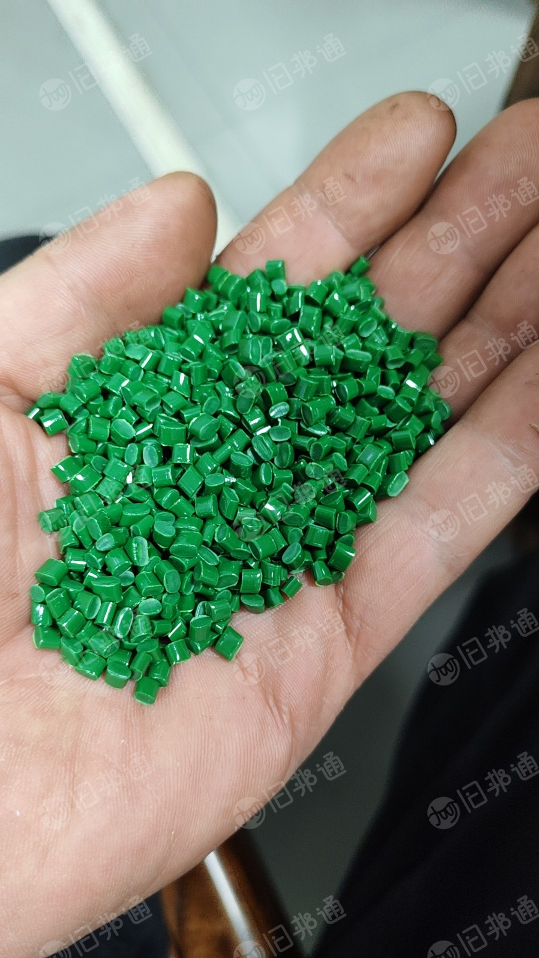 长期出售PET绿色颗粒,做打包带用的