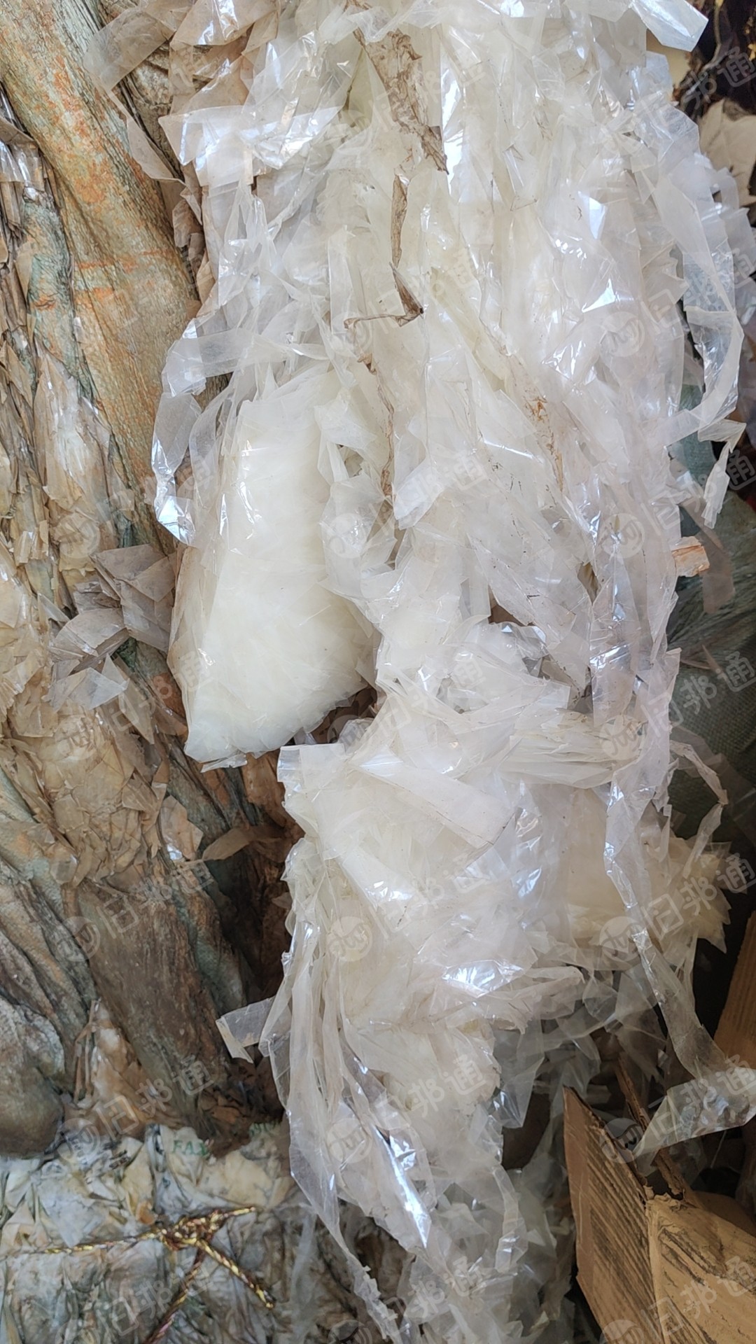 出售生PET膜,干造水洗的都有,现货十几吨