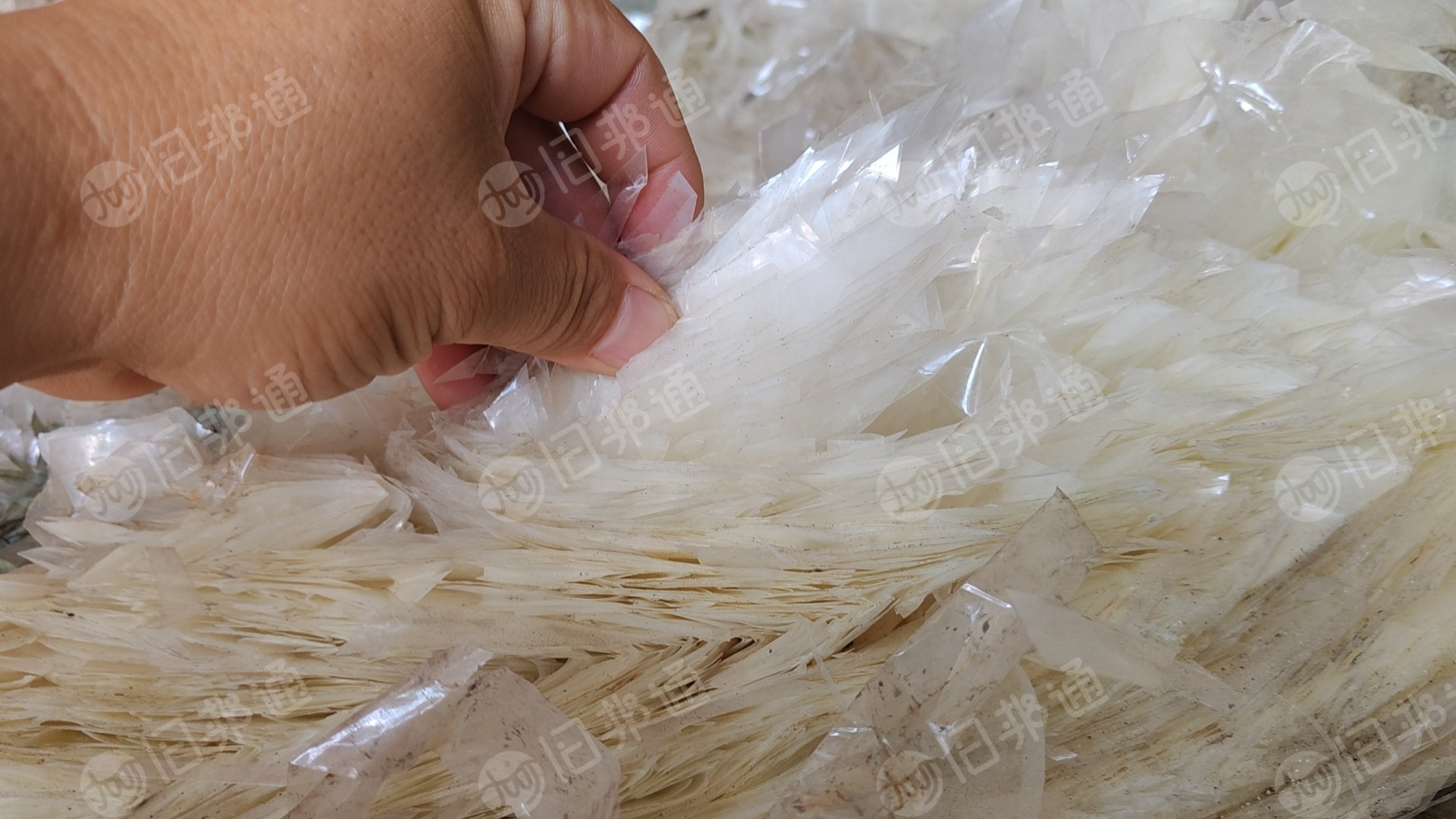 出售生PET膜,干造水洗的都有,现货十几吨
