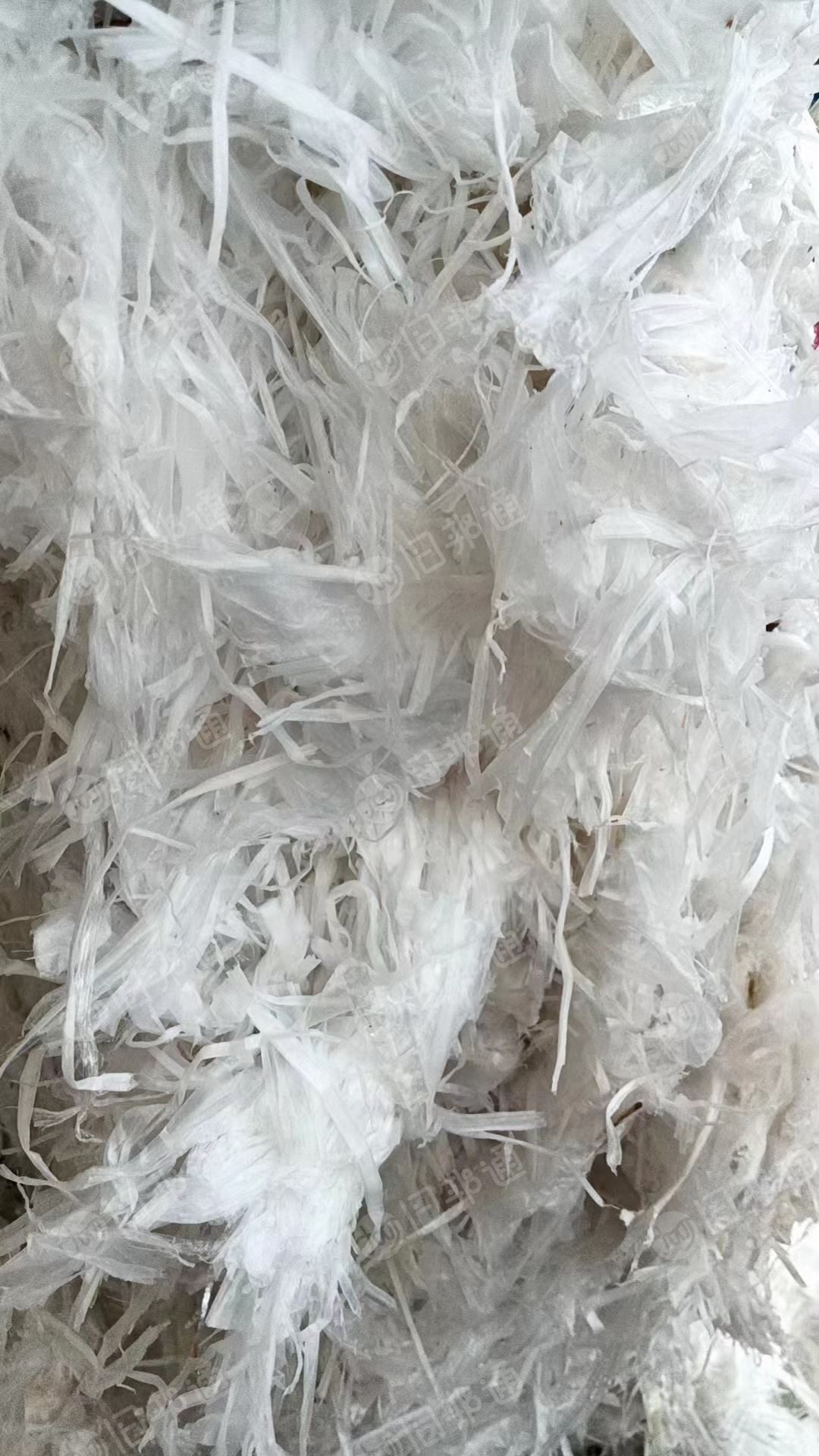 便宜出售水洗口杯膜