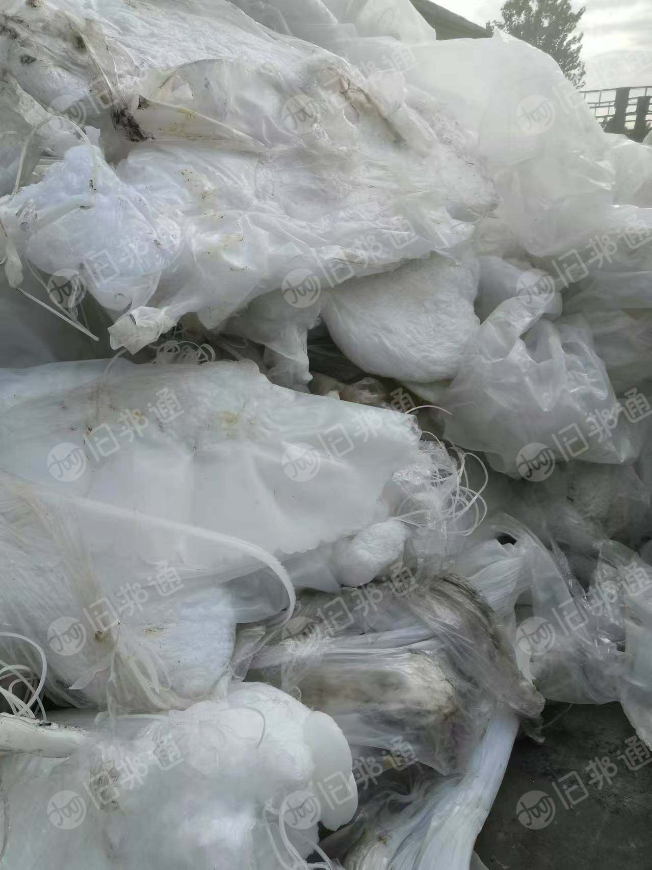 出售高压机头料,纯PE,淋膜机头料
