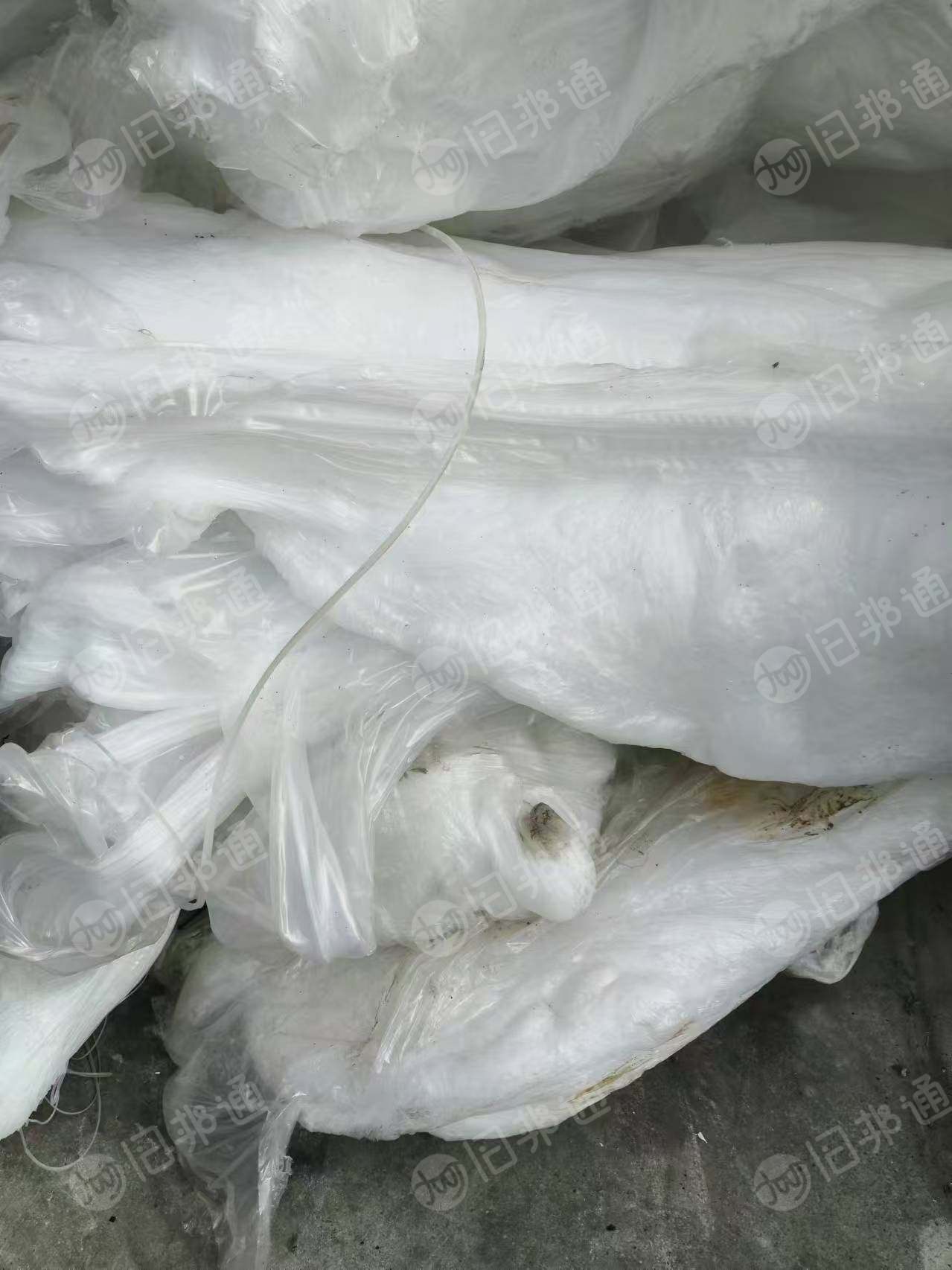 出售高压机头料,纯PE,淋膜机头料