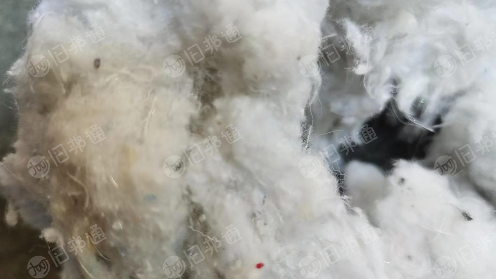 出售废棉,纺织厂下来的,现货有几百吨
