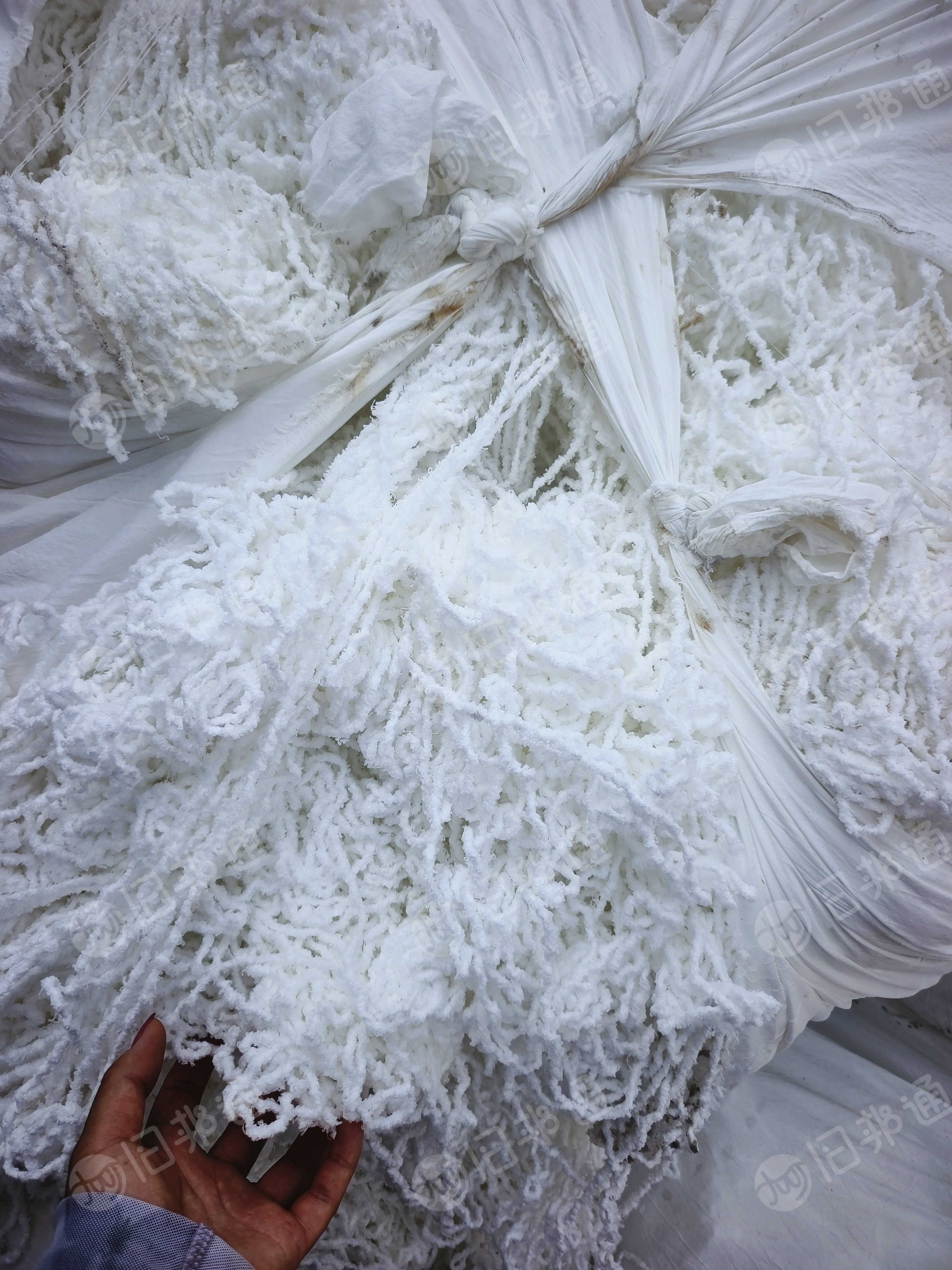 长期出售纺织厂下来的氨纶水丝,月供50吨