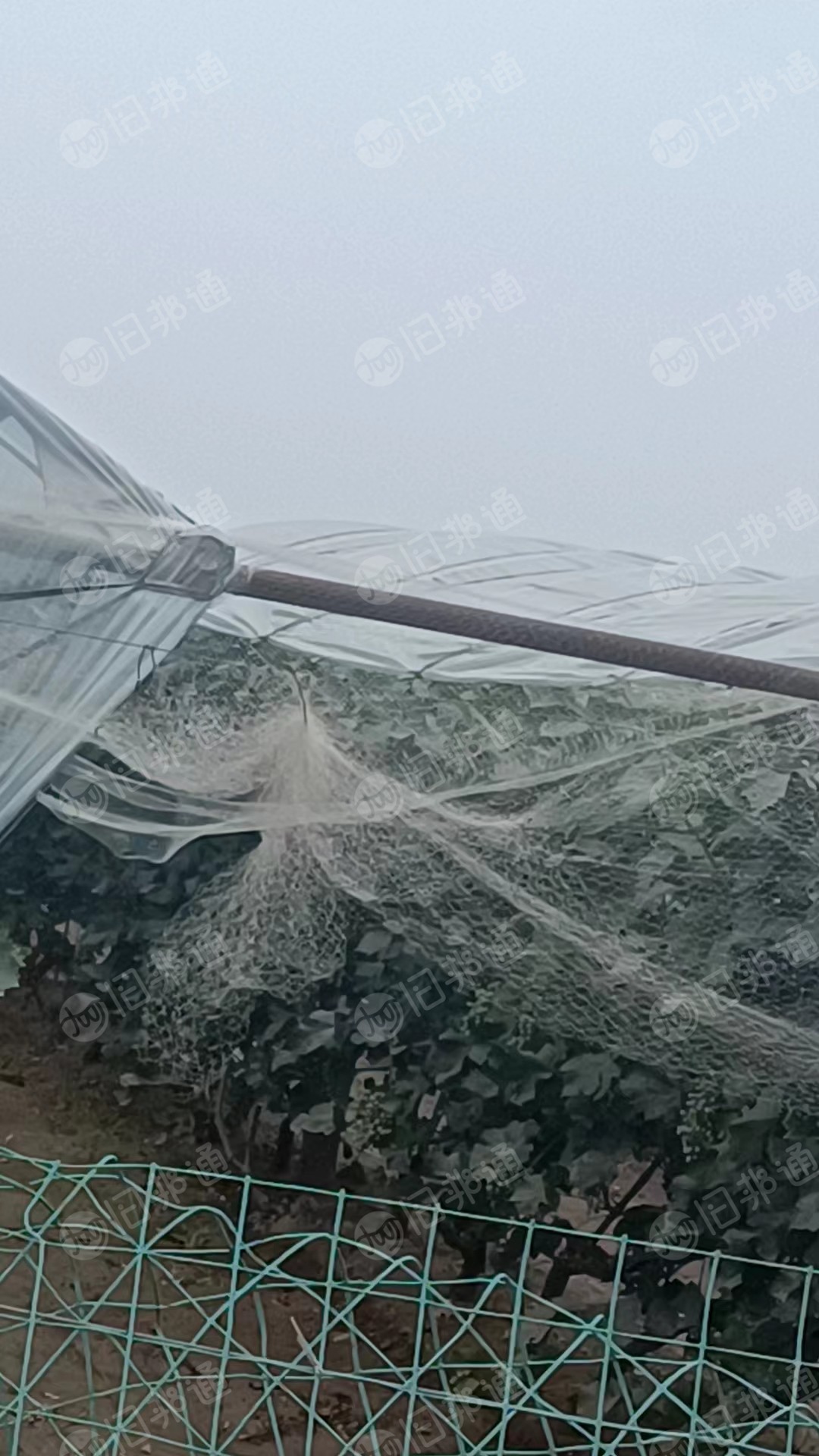 出售尼龙废丝,有灰尘,有三四十吨