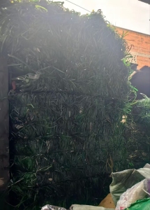 出售PET打包带毛料