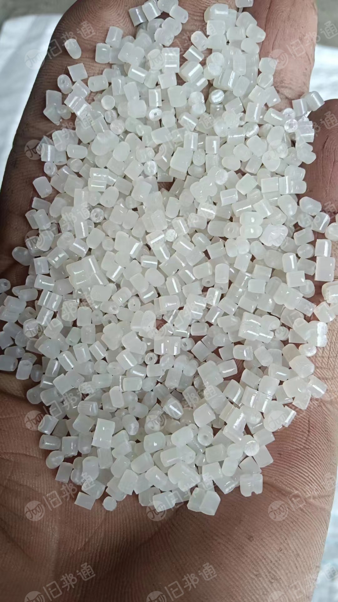 出售PP透明颗粒,一级餐盒颗粒,过80目,无添加,长期供应