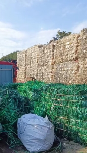 长期出售PET打包带毛料