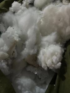 长期出售丝绵被，棉花被等