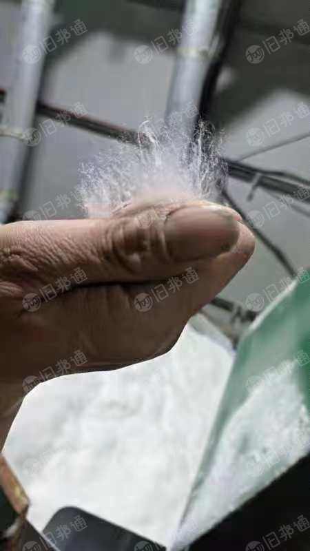 出售牛仔开花棉,85棉,白色,几十吨
