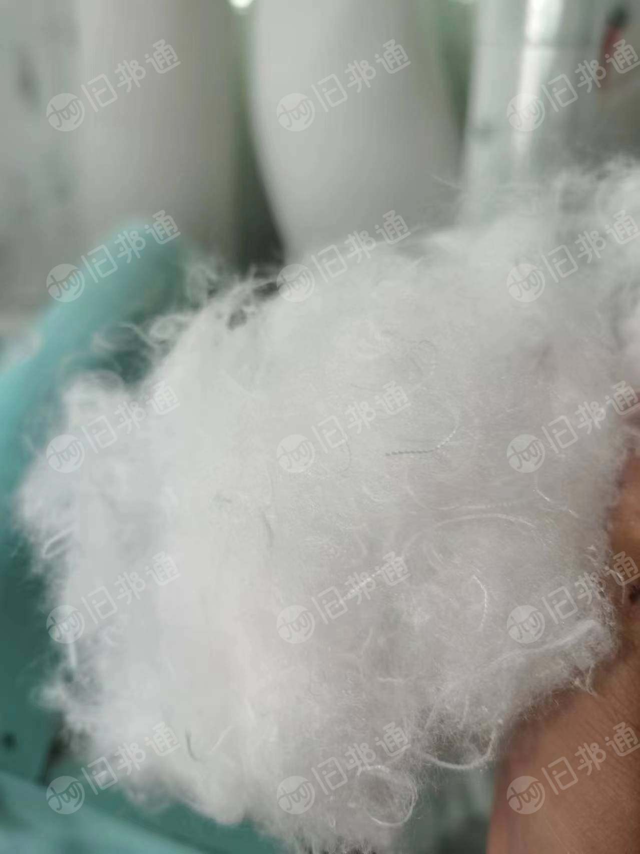出售涤纶气囊布开花料,涤纶气囊布开松棉,含胶粉,现货够车,长期有货