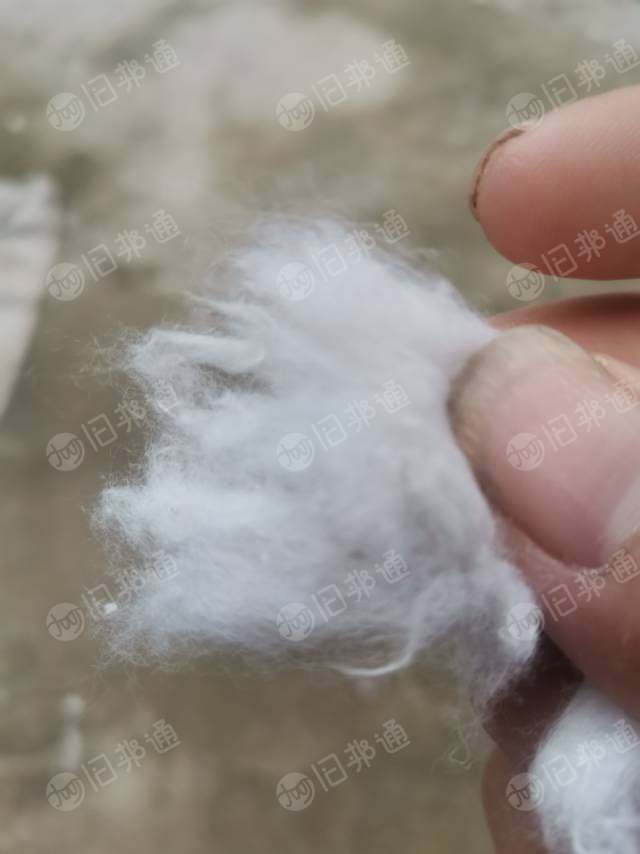 出售优质再生棉,褪色牛仔布开花棉,生料开的,牛仔再生棉