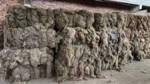 长期出售法国亚麻，货在江苏常州