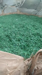 出售PET打包带破碎料，干粉的，每月两半挂车