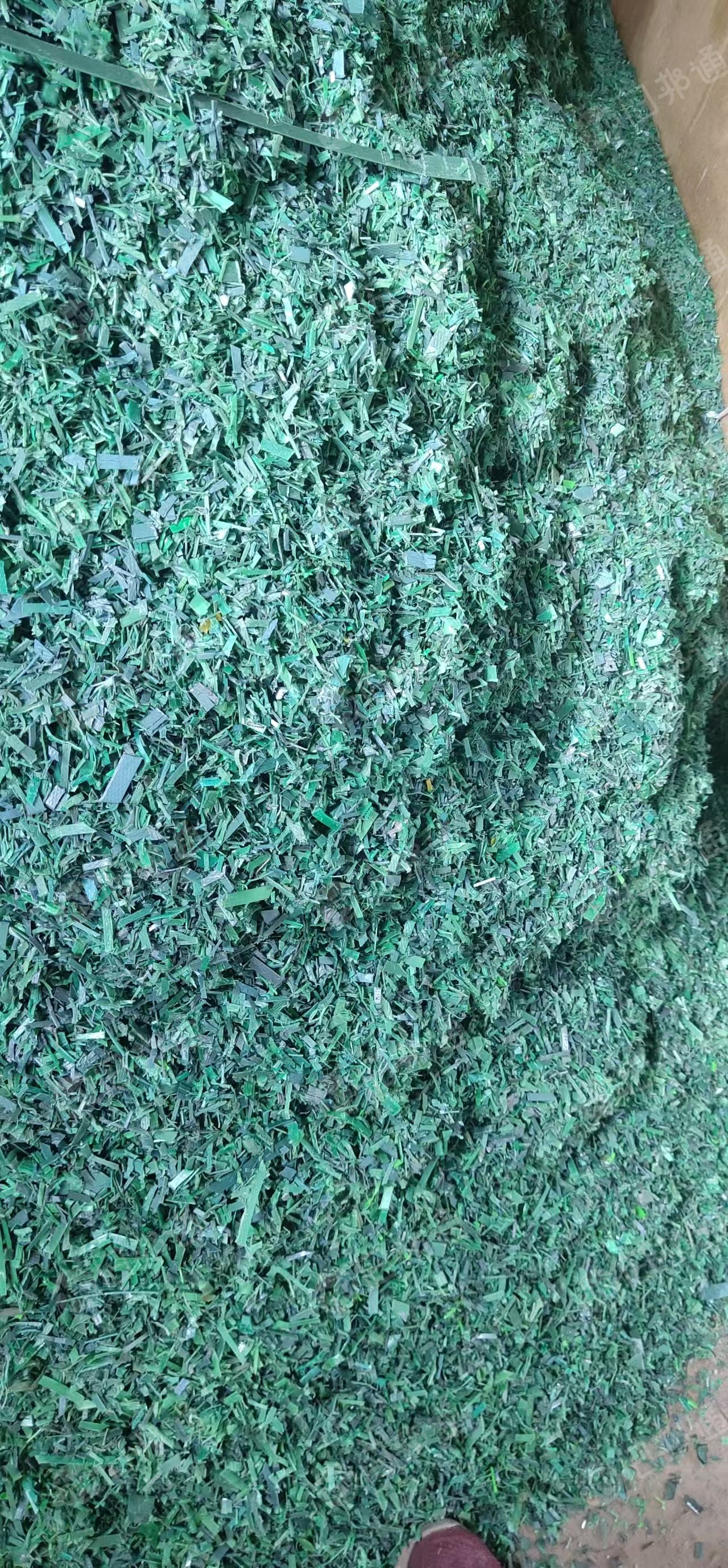 出售PET打包带破碎料,干粉的,每月两半挂车