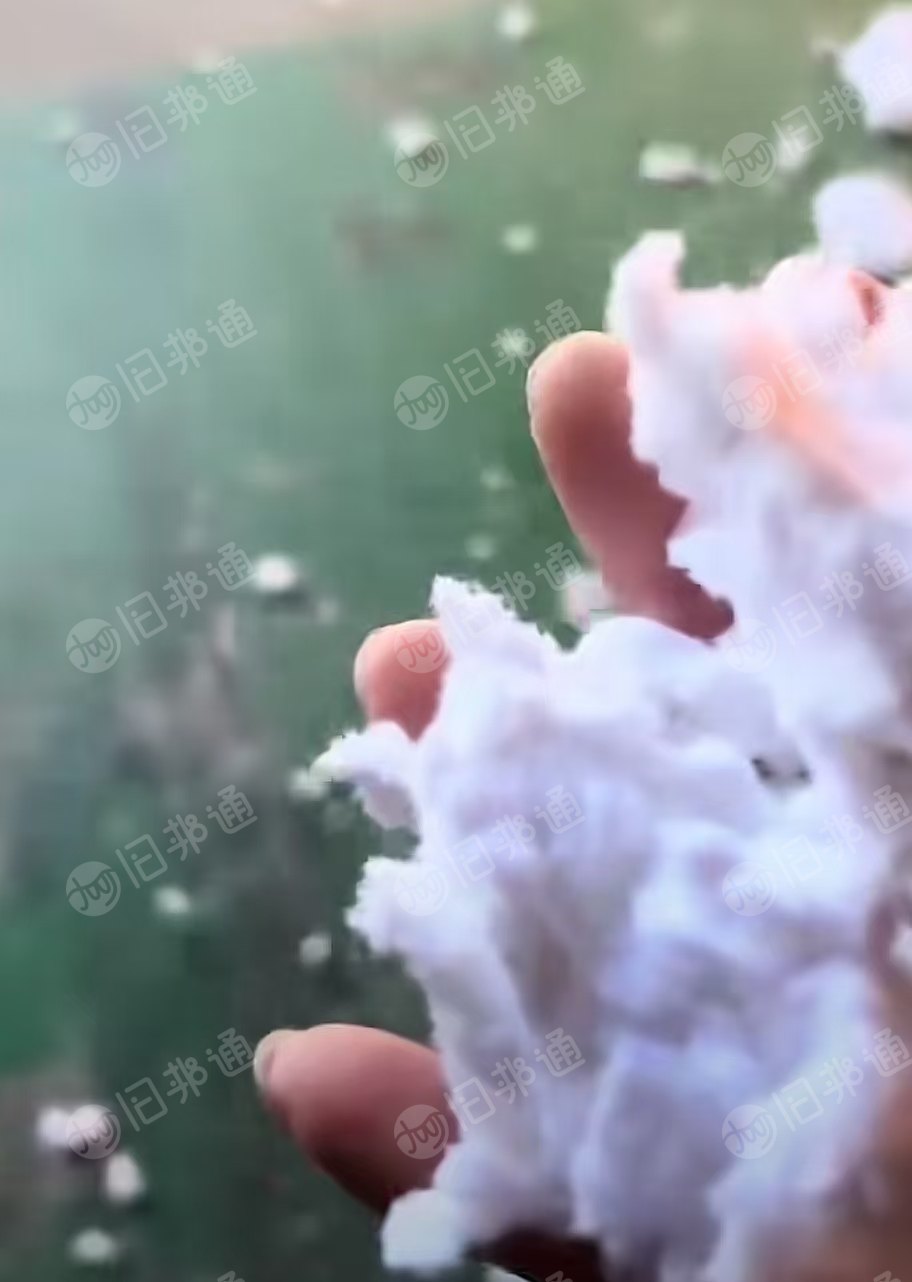 长期大量出售漂白纯棉布磨毛料,纯棉毛毛料