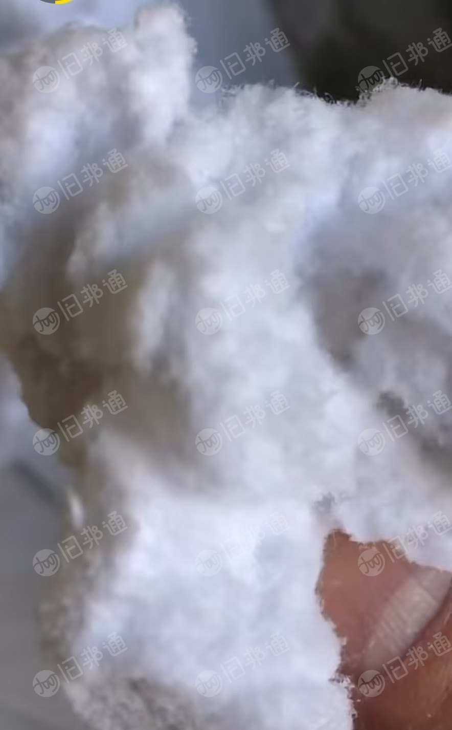 长期大量出售漂白纯棉布磨毛料,纯棉毛毛料