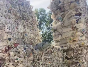 出售白乙压块，花乙压块