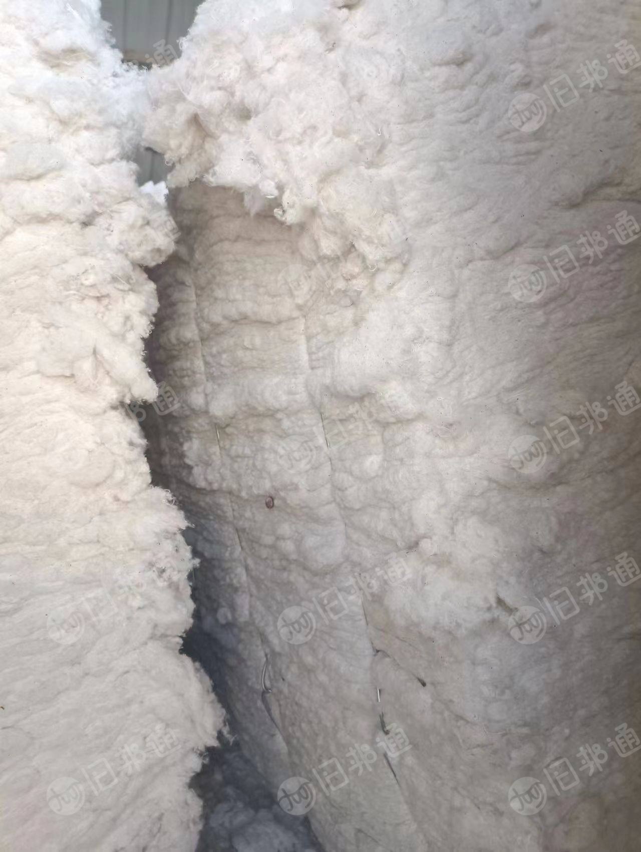 长期出售纯棉包布开松棉,9.6米一车货