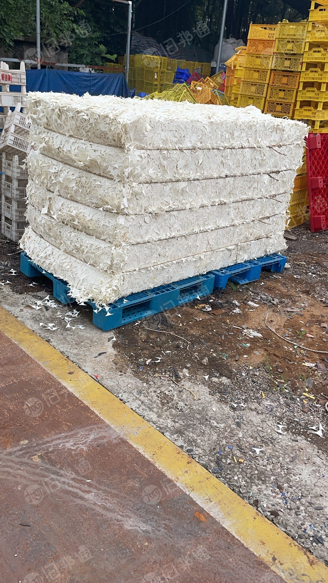 大量出售口杯纸边料,有纯白和小花