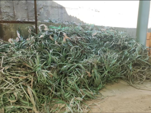 出售PET塑钢打包带，长期有货，捆砖头下来的