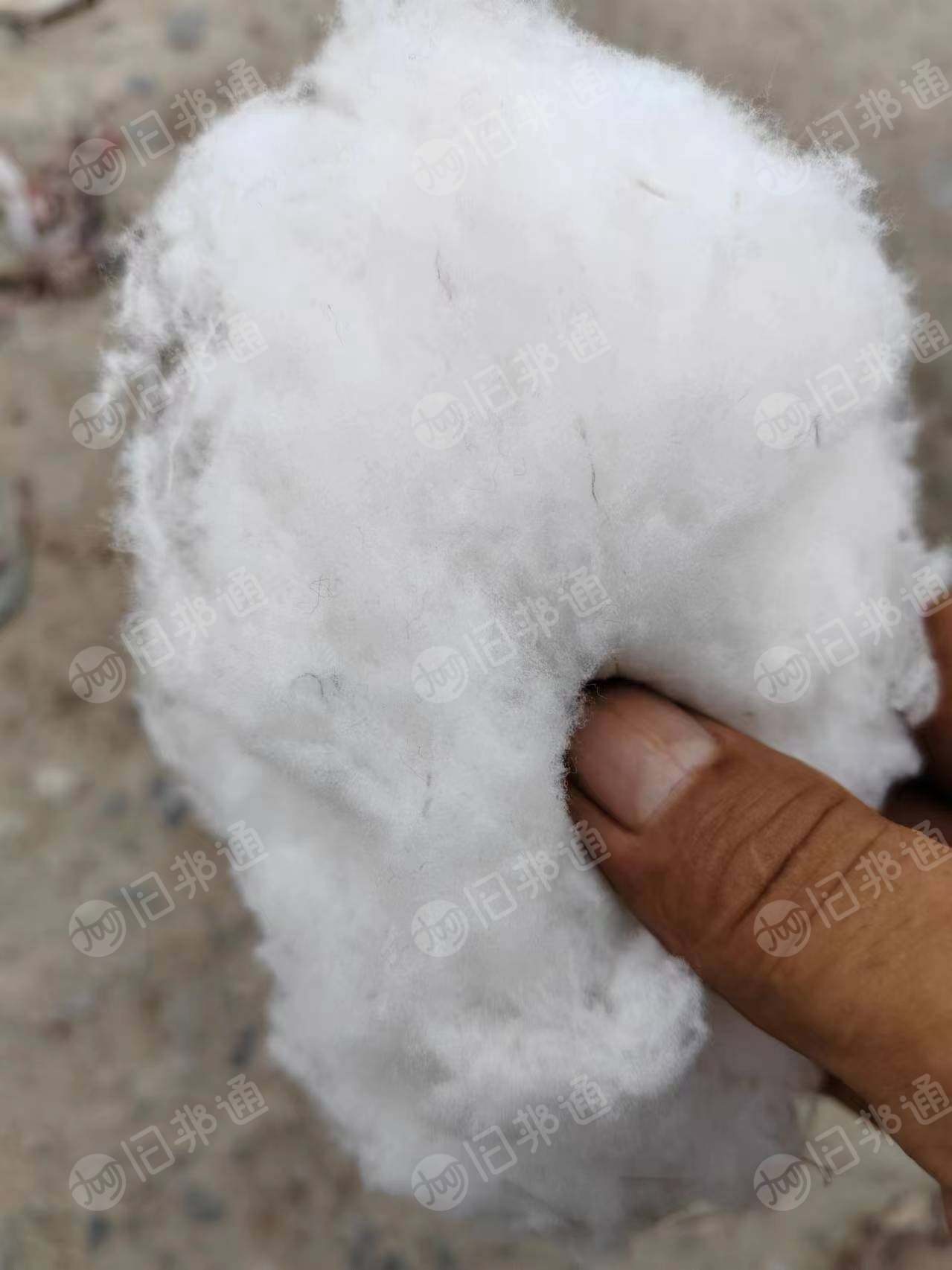 出售袜子厂下来的锦纶棉,现货有30吨