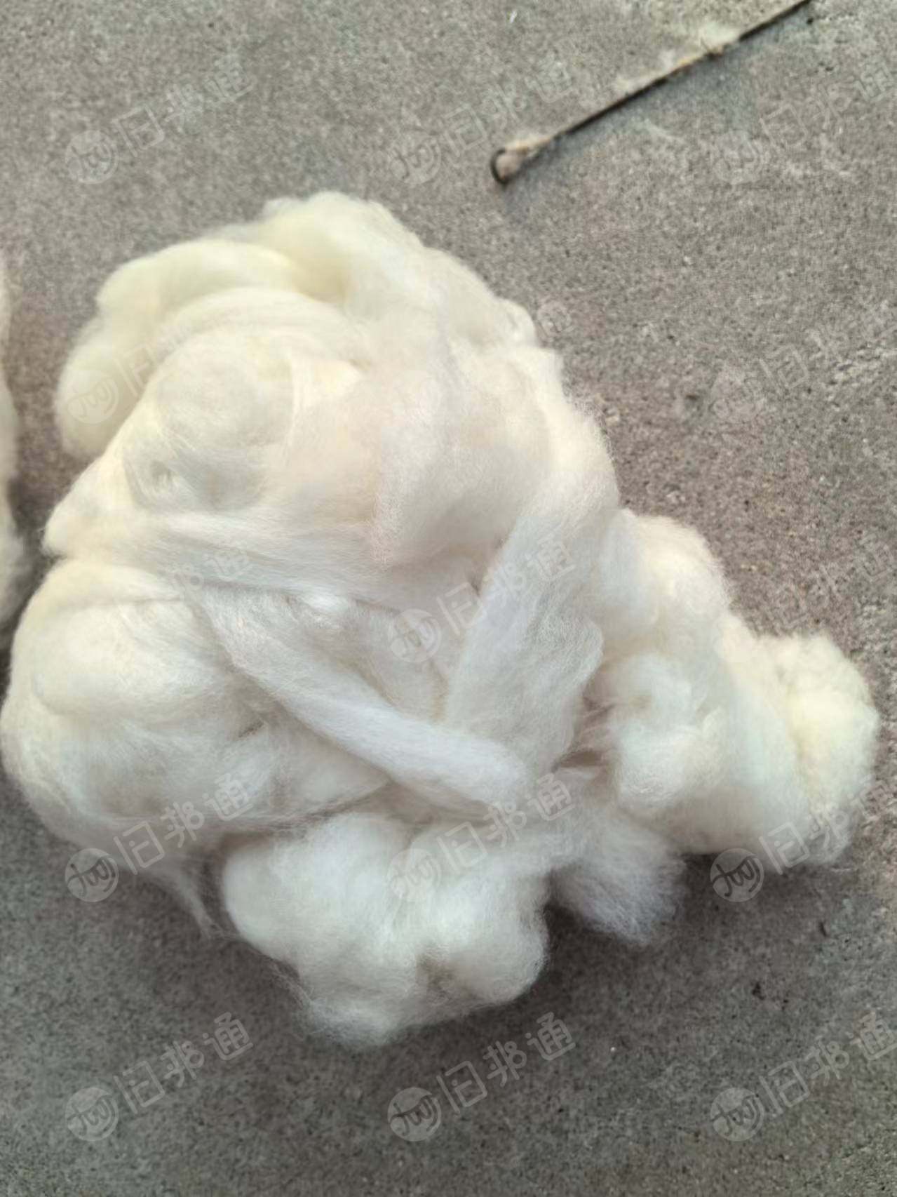 长期出售白绒,绵羊绒,羊绒,有大白,二白。月供几十吨