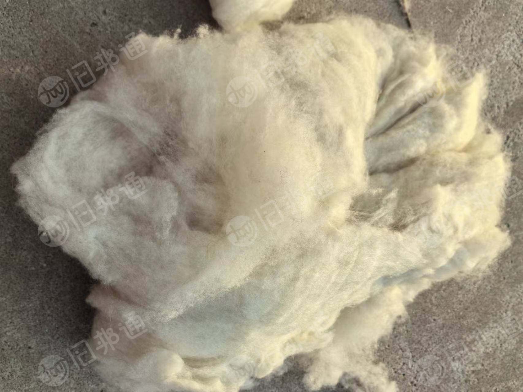 长期出售白绒,绵羊绒,羊绒,有大白,二白。月供几十吨