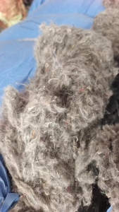 长期大量出售开花棉，杂色，花色都有，月供100吨