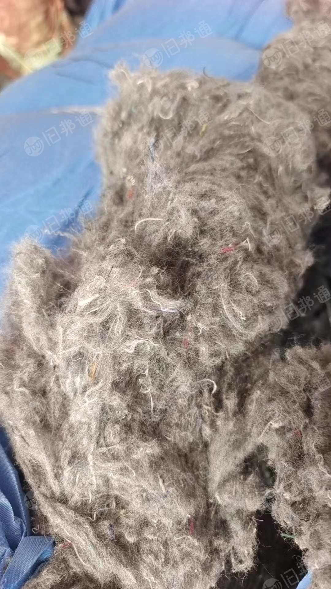 长期大量出售开花棉,杂色,花色都有,月供100吨