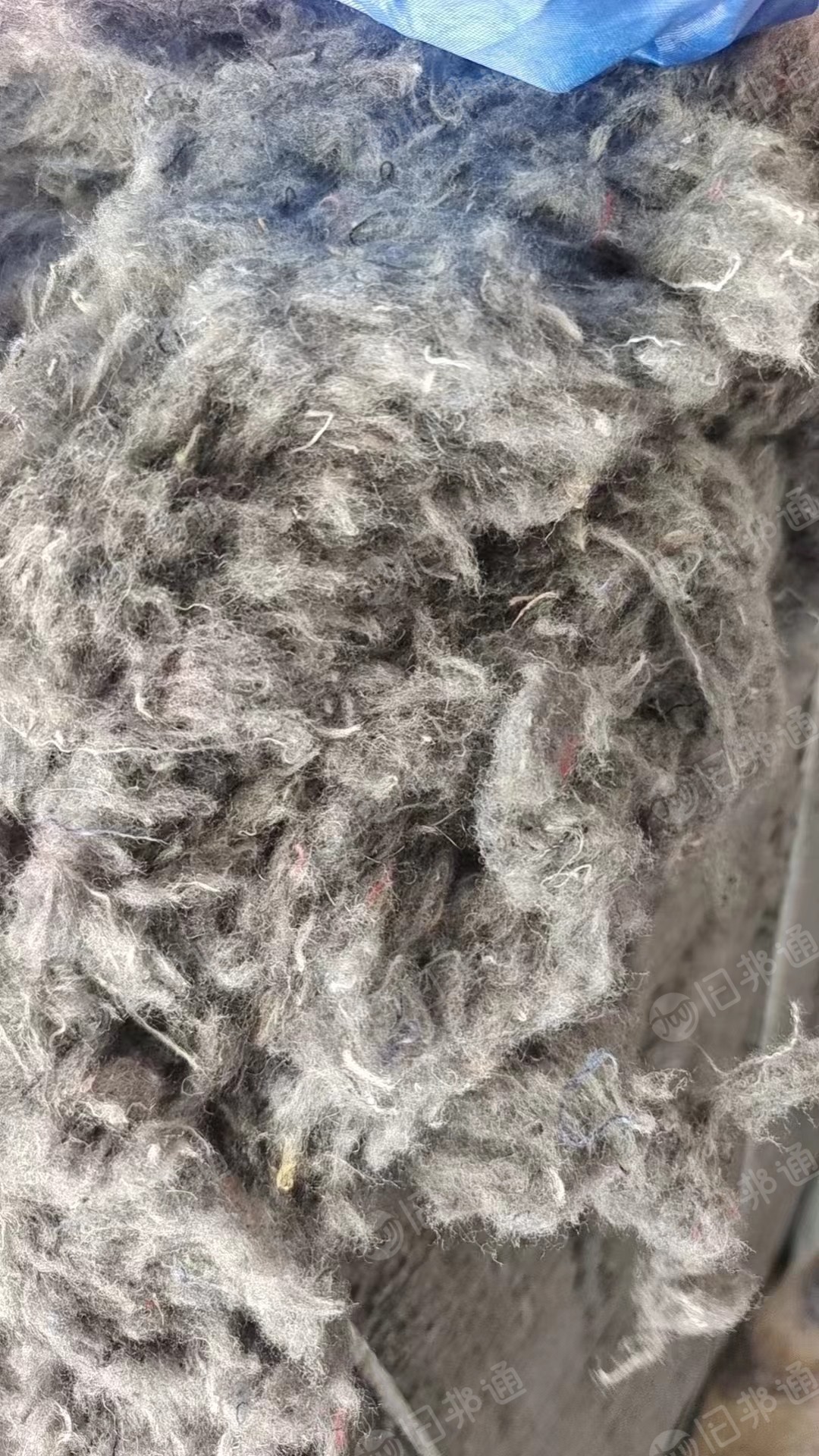 长期大量出售开花棉,杂色,花色都有,月供100吨