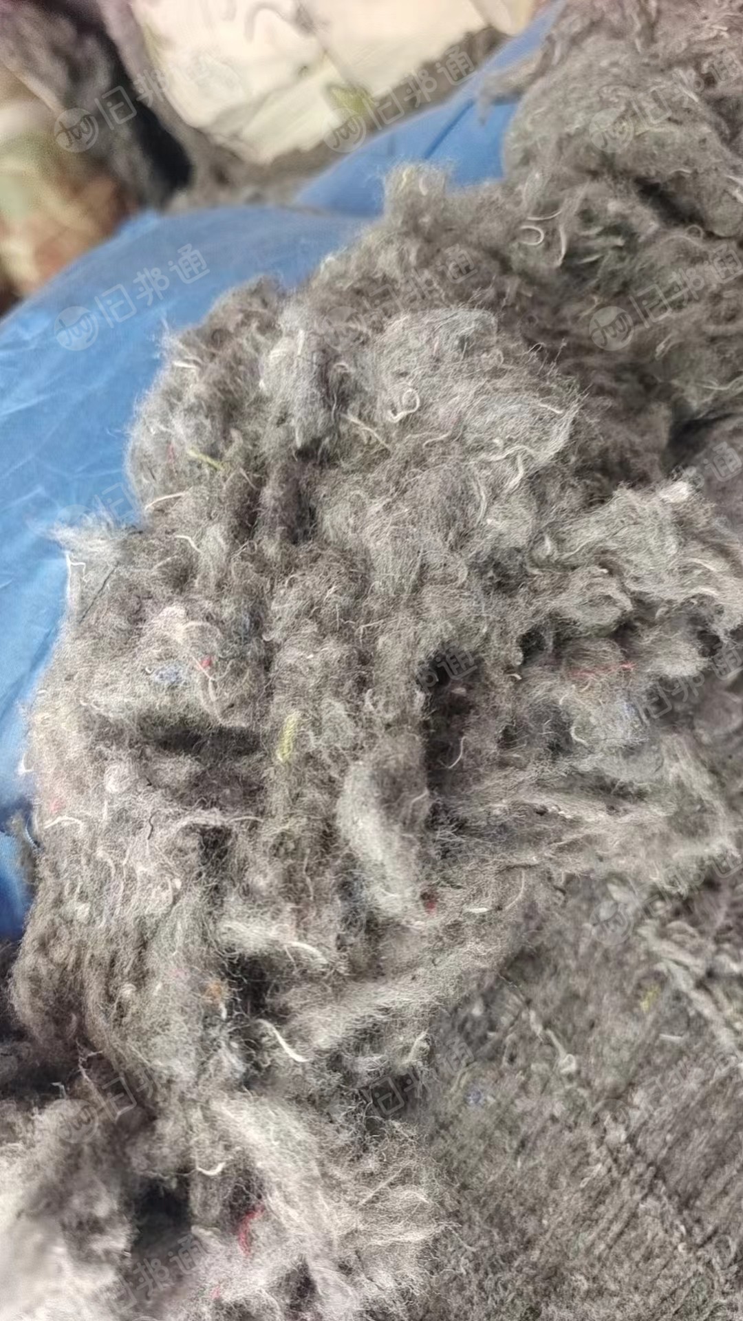 长期大量出售开花棉,杂色,花色都有,月供100吨
