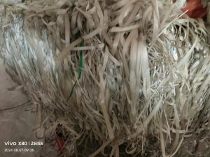 出售透明PP打包带废料