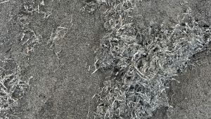 厂家长期处理6系铝屑散料